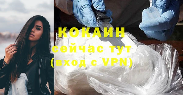 прущие крисы Аркадак
