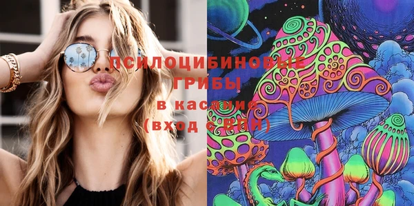 прущие крисы Аркадак